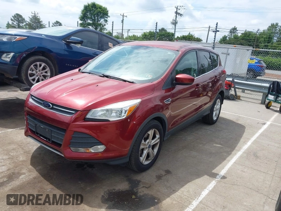 2014 Ford Escape SE with VIN 1FMCU0GX4EUD02407, listed as a IAAI auction lot 42156731 with 114,117 mi miles. Bid and sale history available at carsss.com. Image 2.