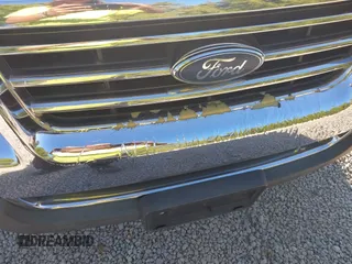 2007 Ford Explorer Sport Trac XLT z VIN 1FMEU31K67UA18559, wystawiony jako IAAI lot #40156484 z przebiegiem 245 853 mil mil oraz . Historia ofert i sprzedaży dostępna na DreamBid. Obrazek 6.