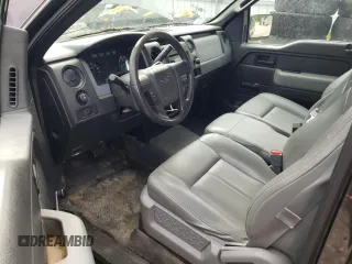 2013 Ford F-150 XL with VIN 1FTMF1CM7DFD51544, listed as a Copart auction lot 58138115 with 284,893 mi miles and Clean title. Bid and sale history available at DreamBid. Image 8.