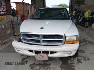 2002 Dodge Durango z VIN 1B4HR48N72F144237, wystawiony jako IAAI lot #42242043 z przebiegiem 72 065 mil mil oraz . Historia ofert i sprzedaży dostępna na DreamBid. Obrazek 12.