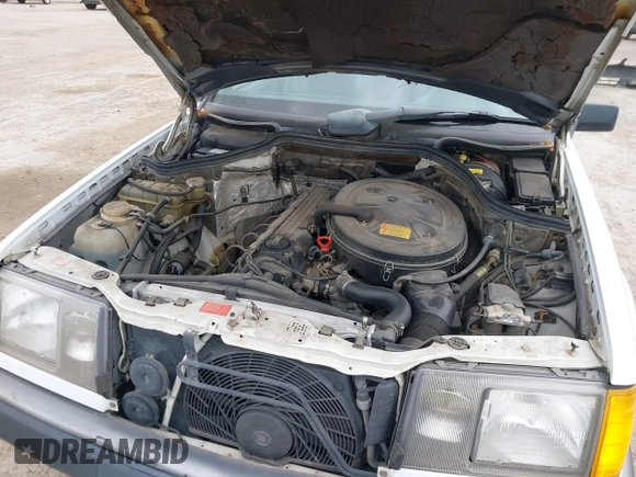 1989 Mercedes-Benz 300 E z VIN WDBEA30D6KB024140, wystawiony jako IAAI lot #41332894 z przebiegiem 237 628 mil mil oraz . Historia ofert i sprzedaży dostępna na DreamBid. Obrazek 10.