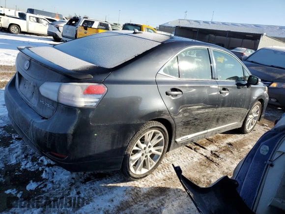 2010 Lexus HS 250h with VIN JTHBB1BA5A2003303, listed as a Copart auction lot 42003095 with Not Provided miles and Salvage Title. Bid and sale history available at DreamBid. Image 3.
