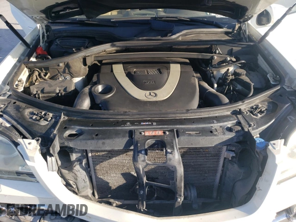 2010 Mercedes-Benz GL-Class GL 450 with VIN 4JGBF7BE8AA595373, listed as a Copart auction lot 73852304 with 211,033 mi miles and Salvage Title. Bid and sale history available at carsss.com. Image 12.