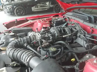 2005 Ford Mustang Deluxe с VIN 1ZVFT80NX55234214, выставлен на аукционе IAAI как лот 42939186 с пробегом 159 248 миль миль и . История ставок и продаж доступна на DreamBid. Изображение 20.