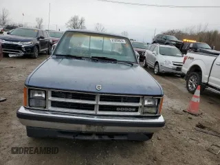 1989 Dodge Dakota with VIN 1B7FL26X3KS146546, listed as a Copart auction lot 81859624 with 16,824 mi miles and Clean Title. Bid and sale history available at carsss.com. Image 5.