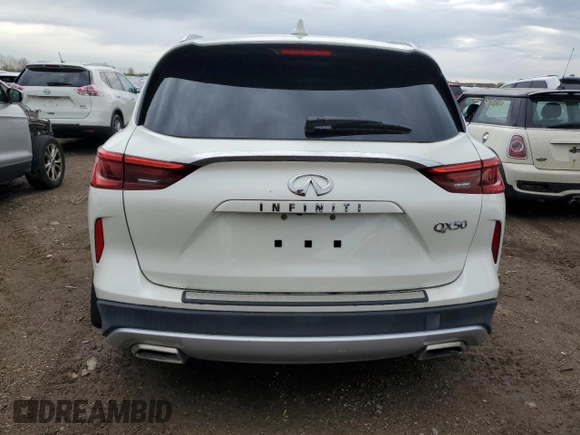 2019 Infiniti QX50 LUXE with VIN 3PCAJ5M13KF137147, listed as a Copart auction lot 53788435 with Not Provided miles and Clean Title. Bid and sale history available at carsss.com. Image 6.