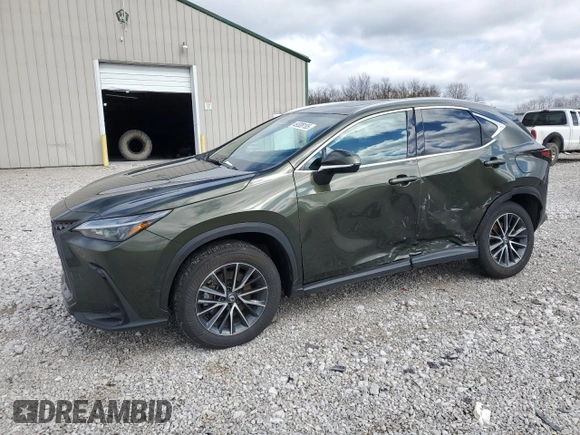 2024 Lexus NX with VIN 2T2AGCEZ0RC053644, listed as a Copart auction lot 49308185 with 21,010 mi miles and Salvage Title. Bid and sale history available at carsss.com. Image 1.