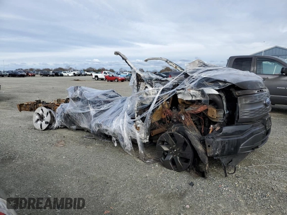 2023 Ford F-150 Lightning Pro with VIN 1FT6W1EV1PWG00813, listed as a Copart auction lot 44388625 with Not provided miles and Non repairable. Bid and sale history available at DreamBid. Image 4.