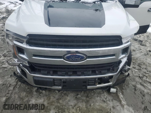 2018 Ford F-150 XL with VIN 1FTMF1EB9JFE54679, listed as a Copart auction lot 45195615 with 119,117 mi miles and Salvage title. Bid and sale history available at DreamBid. Image 12.