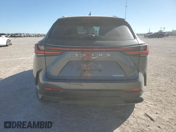 2025 Lexus NX with VIN 2T2ADCAZ8SC019651, listed as a Copart auction lot 46261345 with 9,758 mi miles and Salvage Title. Bid and sale history available at carsss.com. Image 6.