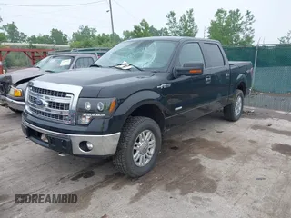 2014 Ford F-150 XL with VIN 1FTFW1ET9EFB75417, listed as a IAAI auction lot 42449180 with 219,028 mi miles and . Bid and sale history available at DreamBid. Image 18.