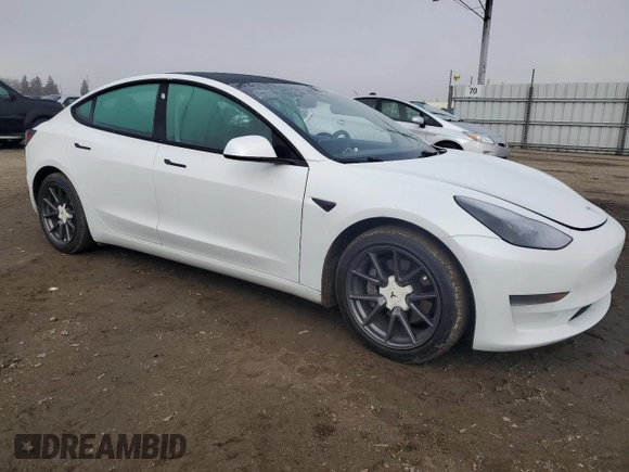 2021 Tesla Model 3 Standard Range Plus with VIN 5YJ3E1EA1MF066389, listed as a Copart auction lot 48053925 with 119,105 mi miles and Salvage Title. Bid and sale history available at carsss.com. Image 4.