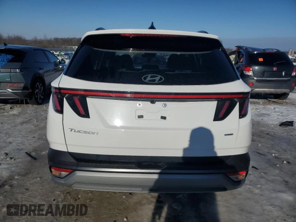 2025 Hyundai Tucson Limited with VIN 5NMJECDE0SH477155, listed as a Copart auction lot 87396494 with 691 mi miles and Salvage Title. Bid and sale history available at carsss.com. Image 6.