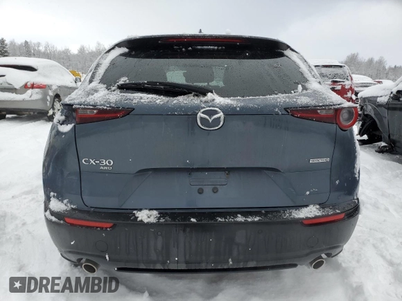 2021 Mazda CX-30 Premium with VIN 3MVDMBDL5MM261583, listed as a Copart auction lot 43079475 with 22,562 mi miles and Clean Title. Bid and sale history available at carsss.com. Image 6.
