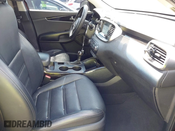 2017 Kia Sorento EX with VIN 5XYPH4A53HG287333, listed as a IAAI auction lot 42230196 with 253,625 mi miles and . Bid and sale history available at carsss.com. Image 5.