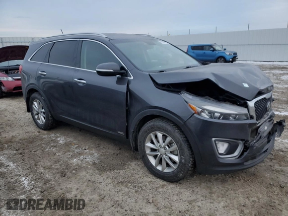 2016 Kia Sorento LX with VIN 5XYPGDA51GG139747, listed as a Copart auction lot 79558753 with 148,066 mi miles and Salvage Title. Bid and sale history available at DreamBid. Image 4.