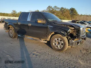 2009 Ford F-150 XL with VIN 1FTRW12869FA73172, listed as a Copart auction lot 41407375 with 215,230 mi miles and Salvage Title. Bid and sale history available at carsss.com. Image 4.