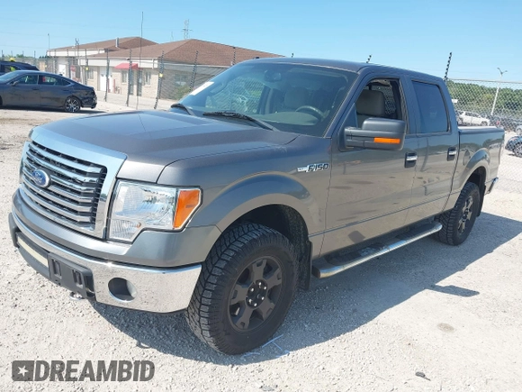 2010 Ford F-150 XL with VIN 1FTEW1E83AFD18282, listed as a IAAI auction lot 42653428 with 207,118 mi miles and . Bid and sale history available at DreamBid. Image 2.