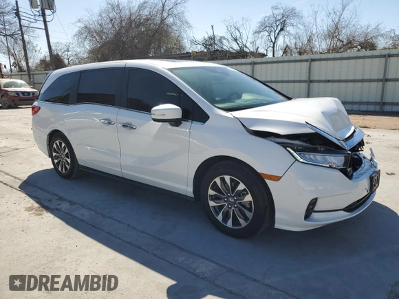 2024 Honda Odyssey EX-L with VIN 5FNRL6H66RB069509, listed as a Copart auction lot 47198505 with 3,341 mi miles and Salvage Title. Bid and sale history available at DreamBid. Image 4.