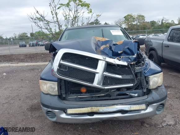 2003 Dodge Ram 1500 ST with VIN 1D7HA16N53J516450, listed as a IAAI auction lot 41723147 with 366,376 mi miles. Bid and sale history available at carsss.com. Image 12.