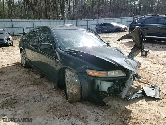 2005 Acura TL with VIN 19UUA66205A005454, listed as a Copart auction lot 45580325 with 0 mi miles and Salvage Title. Bid and sale history available at carsss.com. Image 11.