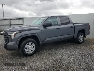 2023 Toyota Tundra SR with VIN 5TFKB5DB3PX107136, listed as a Copart auction lot 80762464 with 19,534 mi miles and Clean title. Bid and sale history available at DreamBid. Image 1.