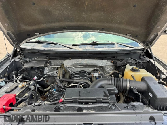 2012 Ford F-150 XL with VIN 1FTFX1EFXCKE09558, listed as a Copart auction lot 62692155 with 105,959 mi miles and Clean title. Bid and sale history available at DreamBid. Image 10.