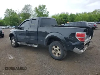 2010 Ford F-150 XL with VIN 1FTFX1EV3AFA54987, listed as a Copart auction lot 56872645 with 200,277 mi miles and Salvage title. Bid and sale history available at DreamBid. Image 2.