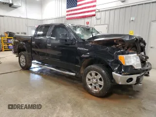 2009 Ford F-150 XL with VIN 1FTPW14VX9FA57292, listed as a Copart auction lot 57179865 with 173,771 mi miles and Clean title. Bid and sale history available at DreamBid. Image 4.