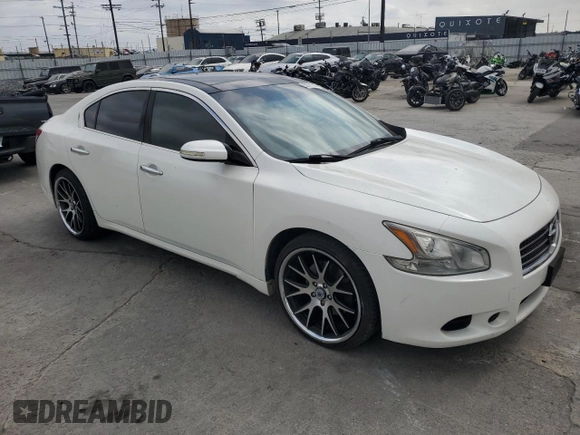 2009 Nissan Maxima SV with VIN 1N4AA51E69C809139, listed as a Copart auction lot 53791545 with 141,482 mi miles and Salvage Title. Bid and sale history available at DreamBid. Image 4.