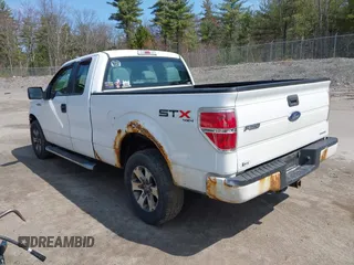 2013 Ford F-150 XL with VIN 1FTFX1EF8DFD61083, listed as a IAAI auction lot 42066005 with 203,918 mi miles. Bid and sale history available at carsss.com. Image 3.