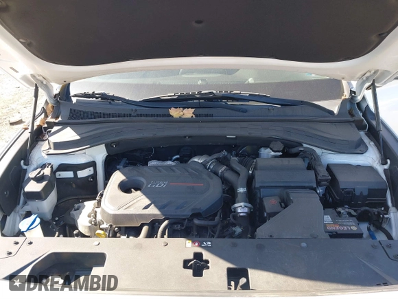 2019 Hyundai Santa Fe Ultimate with VIN 5NMS5CAA0KH067753, listed as a IAAI auction lot 41884396 with 31,343 mi miles and . Bid and sale history available at DreamBid. Image 10.