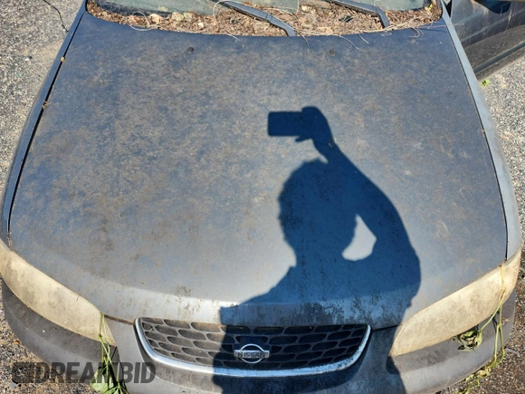 2001 Nissan Sentra GXE with VIN 3N1CB51D51L497687, listed as a Copart auction lot 62727875 with Not provided miles and Non repairable. Bid and sale history available at DreamBid. Image 11.