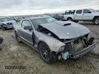 2007 Ford Mustang GT Deluxe with VIN 1ZVFT82H875274785, listed as a Copart auction lot 45746645 with Not provided miles and Salvage title. Bid and sale history available at DreamBid. Image 11.