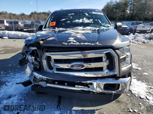 2017 Ford F-150 XL with VIN 1FTEW1EF8HFB34383, listed as a Copart auction lot 45608185 with Not Provided miles and Salvage Title. Bid and sale history available at carsss.com. Image 5.