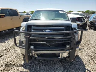 2010 Ford F-150 XL with VIN 1FTEX1E87AFA89876, listed as a Copart auction lot 59507555 with 185,483 mi miles and Clean title. Bid and sale history available at DreamBid. Image 5.