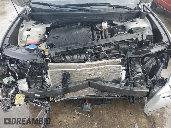 2023 Hyundai Tucson SEL with VIN 5NMJBCAE8PH218353, listed as a Copart auction lot 43080365 with 50,369 mi miles and Salvage Title. Bid and sale history available at carsss.com. Image 12.