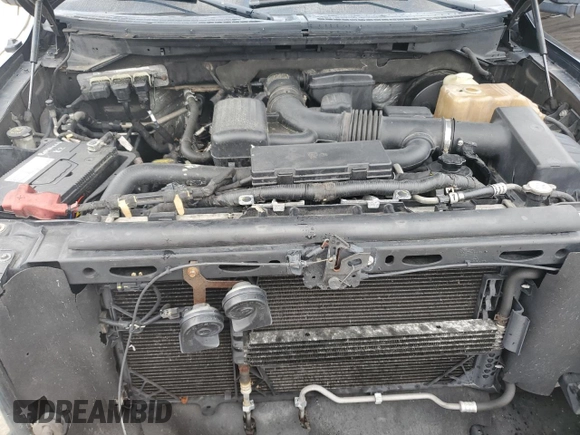 2009 Ford F-150 XL with VIN 1FTPW14V39FA46411, listed as a Copart auction lot 60041665 with 267,792 mi miles and Salvage title. Bid and sale history available at DreamBid. Image 11.