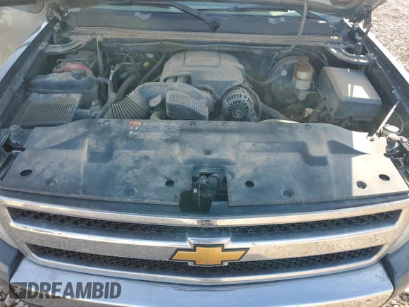 2009 Chevrolet Silverado 1500 LT with VIN 3GCEK23399G115576, listed as a Copart auction lot 48783915 with 186,556 mi miles and Clean Title. Bid and sale history available at DreamBid. Image 11.