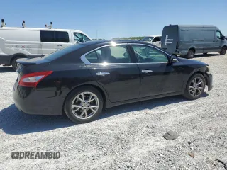 2009 Nissan Maxima SV with VIN 1N4AA51E59C819757, listed as a Copart auction lot 53070385 with 177,688 mi miles and Salvage Title. Bid and sale history available at DreamBid. Image 3.