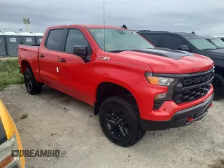 2024 Chevrolet Silverado 1500 Custom Trail Boss with VIN 3GCUDCEDXRG343846, listed as a Copart auction lot 79827194 with 2,163 mi miles and Non Repairable. Bid and sale history available at carsss.com. Image 4.