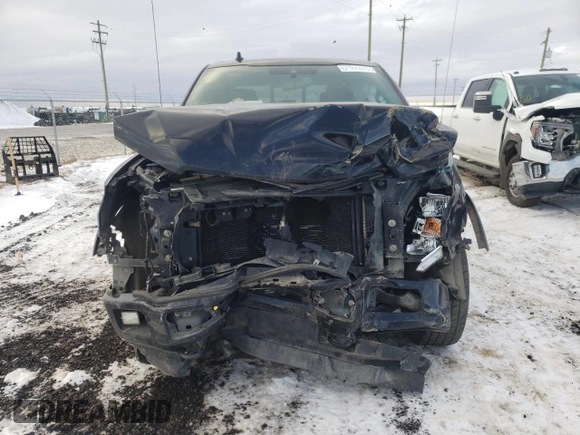 2019 Ford F-150 XL with VIN 1FTEW1EP9KKD61251, listed as a Copart auction lot 81344233 with 141,639 mi miles and Salvage title. Bid and sale history available at DreamBid. Image 5.