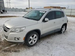 2010 Volkswagen Tiguan SEL with VIN WVGBV7AX2AW528387, listed as a Copart auction lot 87952095 with 110,249 mi miles and Non Repairable. Bid and sale history available at DreamBid. Image 1.