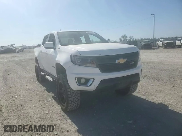 2016 Chevrolet Colorado 4WD Z71 with VIN 1GCGTDE34G1241791, listed as a Copart auction lot 50079785 with 204,598 mi miles and Salvage Title. Bid and sale history available at carsss.com. Image 11.