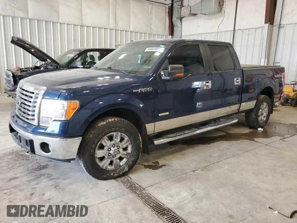 2011 Ford F-150 XLT with VIN 1FTFW1ET0BFC87020, listed as a Copart auction lot 58845915 with 137,315 mi miles and Clean title. Bid and sale history available at DreamBid. Image 1.