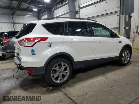 2015 Ford Escape SE with VIN 1FMCU9G92FUC86702, listed as a Copart auction lot 53479425 with 141,055 mi miles and Salvage Title. Bid and sale history available at DreamBid. Image 3.