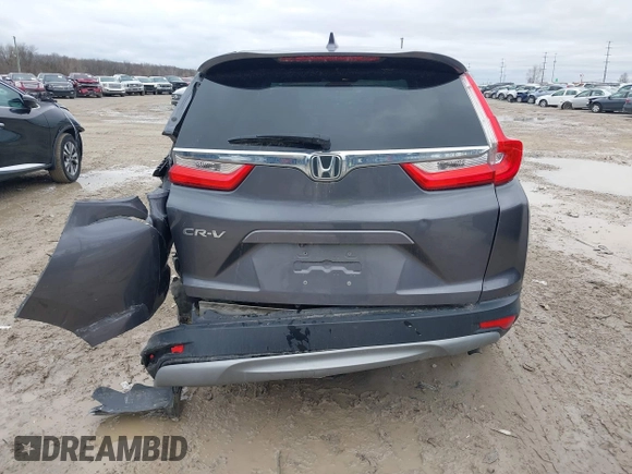 2019 Honda CR-V EX with VIN 2HKRW1H51KH516045, listed as a IAAI auction lot 41834293 with 113,438 mi miles. Bid and sale history available at carsss.com. Image 6.
