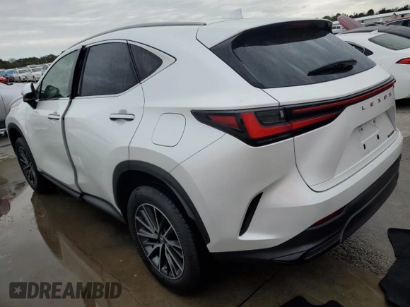 2023 Lexus NX 250 with VIN JTJADCAZ5P2006346, listed as a Copart auction lot 74574774 with Not provided miles and Salvage title. Bid and sale history available at DreamBid. Image 2.