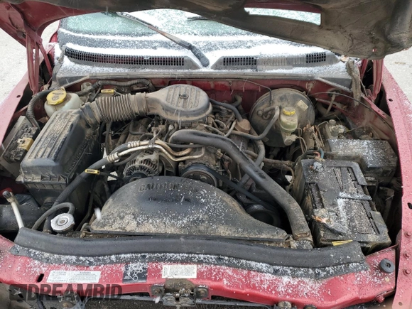 1997 Dodge Dakota with VIN 1B7GL23X9VS223370, listed as a Copart auction lot 43982655 with 195,529 mi miles and Salvage Title. Bid and sale history available at carsss.com. Image 11.