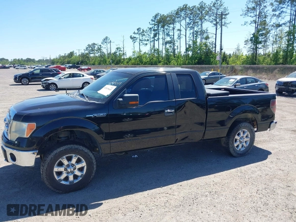 2013 Ford F-150 XL with VIN 1FTFX1EF4DFE09064, listed as a IAAI auction lot 42019665 with 249,430 mi miles. Bid and sale history available at carsss.com. Image 14.